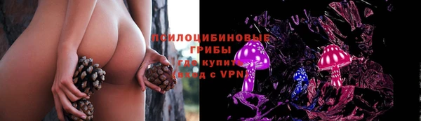 бутират Алзамай