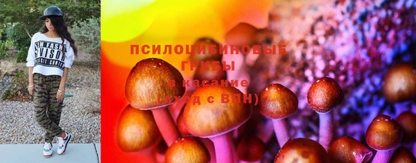 каннабис Алексеевка