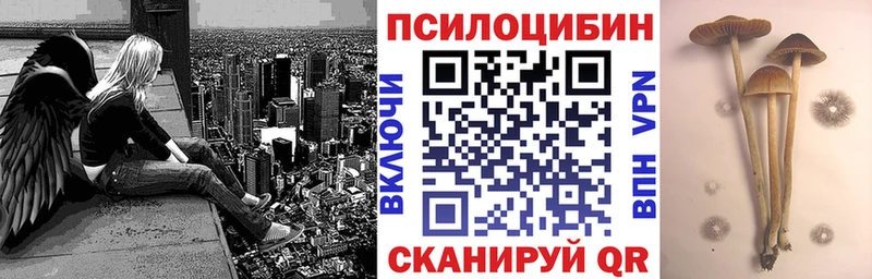 Галлюциногенные грибы MAGIC MUSHROOMS  ссылка на мегу как зайти  Починок 